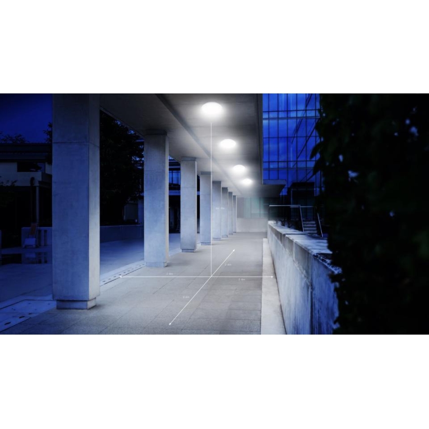 Steinel 068202 - Φωτιστικό οροφής μπάνιου LED με αισθητήρα DL Vario Quattro PRO S LED/14W/230V 3000K IP54