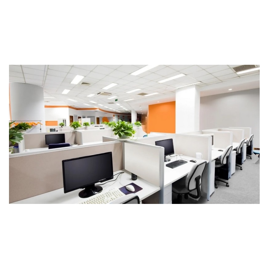 Steinel 079574 - Ανιχνευτής παρουσίας DualTech COM1 λευκό