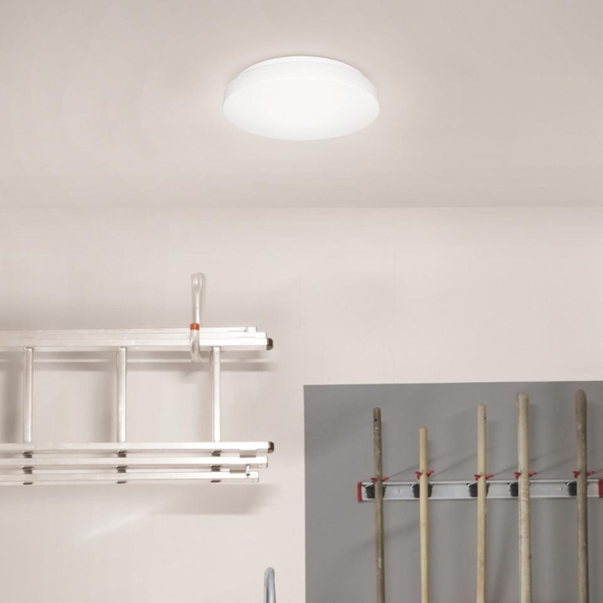 Steinel 079734 - Φωτιστικό οροφής LED με αισθητήρα RS 20 S LED/9,4W/230V 3000K IP44