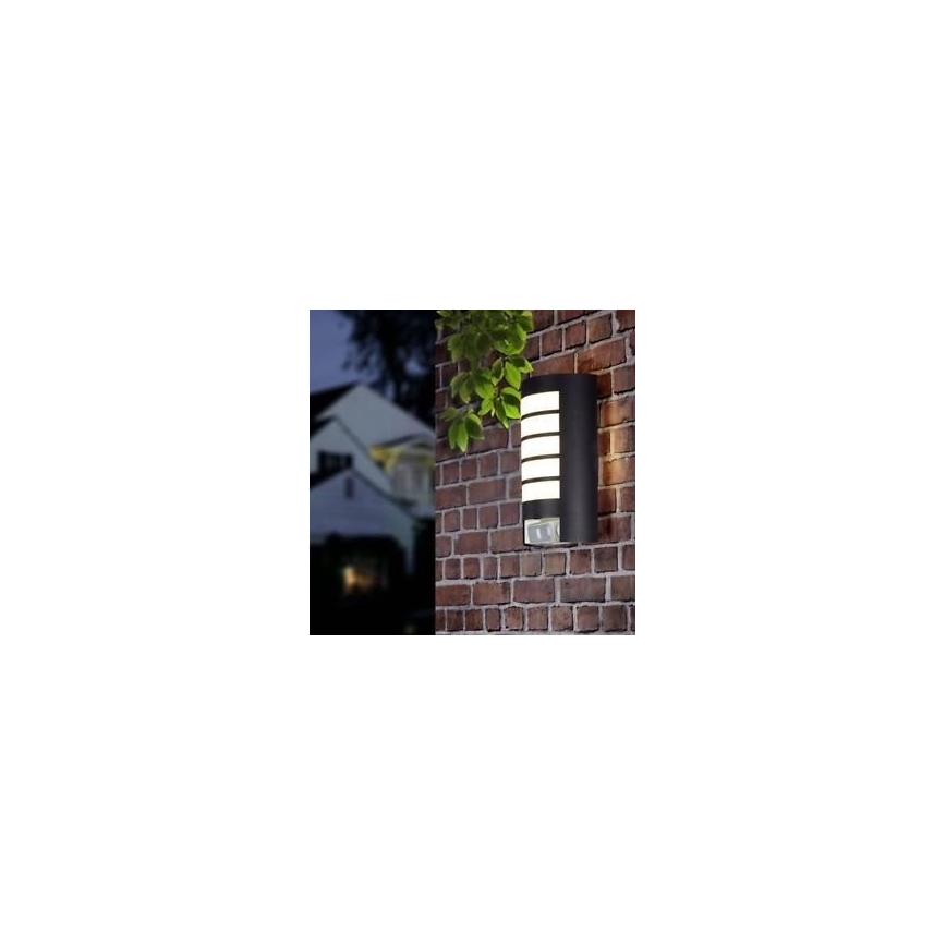 STEINEL 657819 - Φως εξωτερικού χώρου με αισθητήρα L12 1xE27/60W/230V IP44