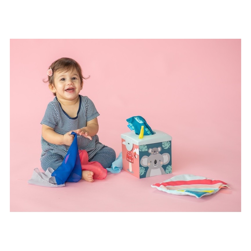 Taf Toys - Παιχνίδι δραστηριοτήτων KIMMI koala