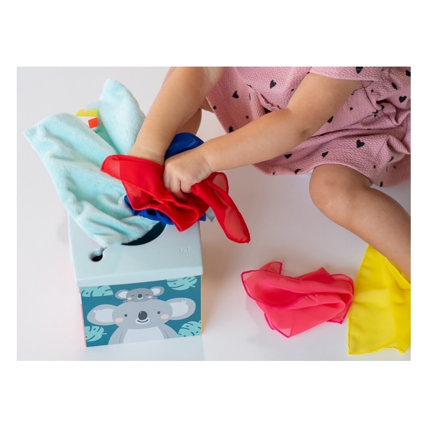 Taf Toys - Παιχνίδι δραστηριοτήτων KIMMI koala