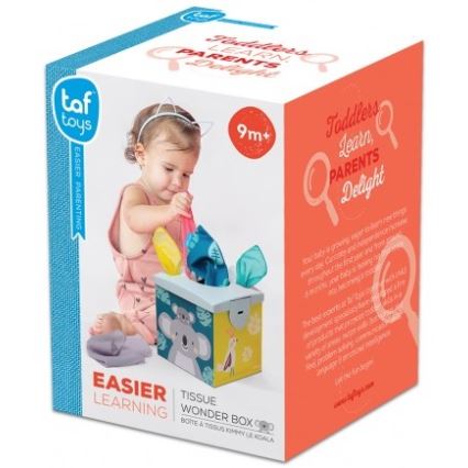 Taf Toys - Παιχνίδι δραστηριοτήτων KIMMI koala