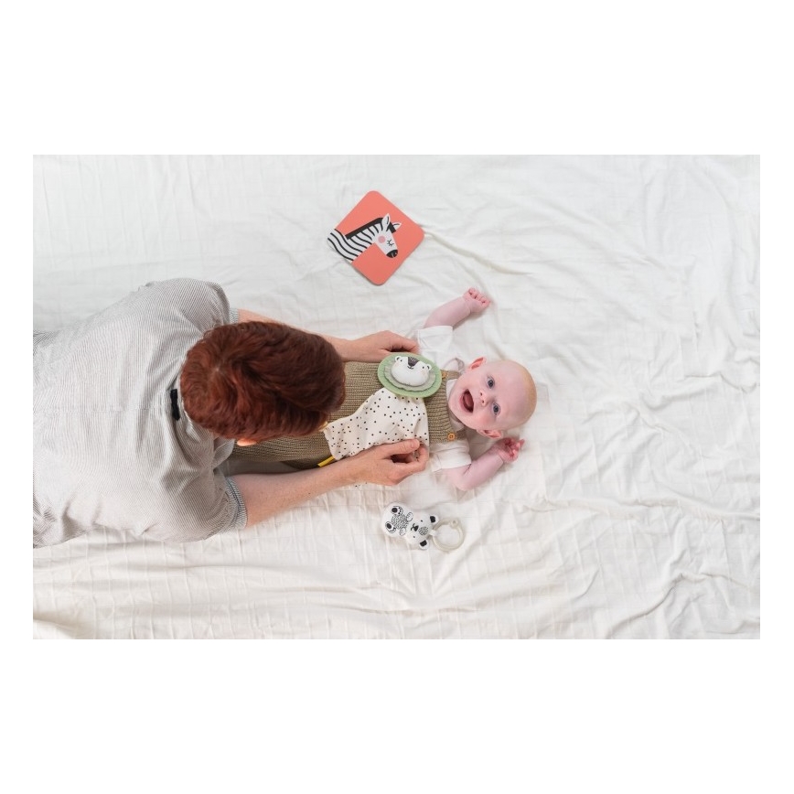 Taf Toys - Σετ παιχνίδι δραστηριοτήτων HELLO BABY