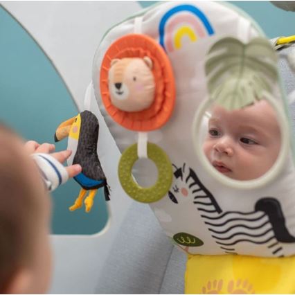 Taf Toys - Παιχνίδι αυτοκίνητο Play & Kick σαβάνα 3xAG13