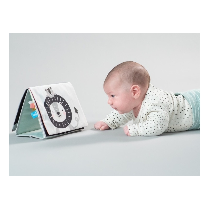 Taf Toys - Εκπαιδευτικό βιβλιαράκι με καθρέπτη savanna