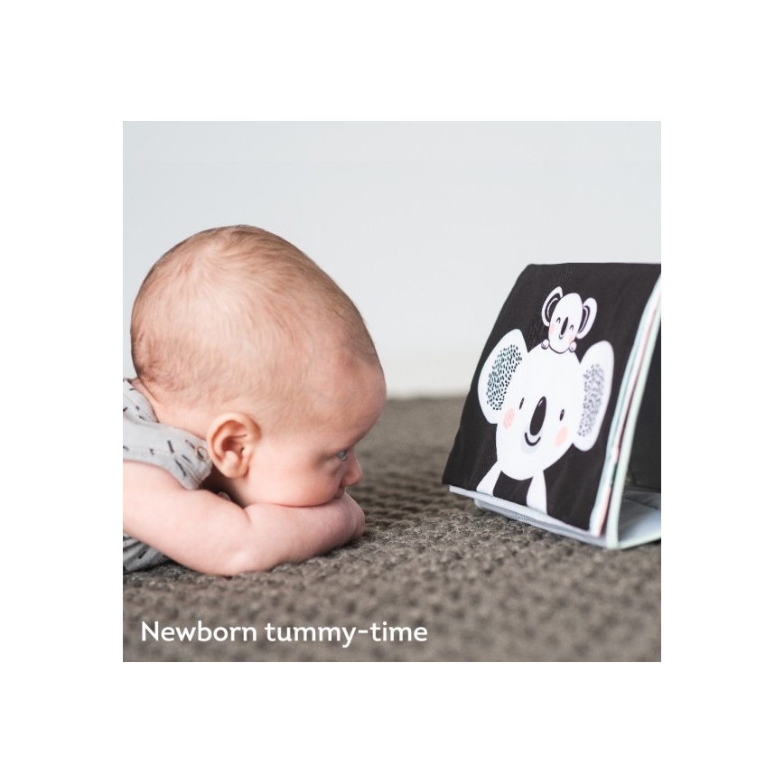 Taf Toys - Βιβλίο δραστηριοτήτων koala