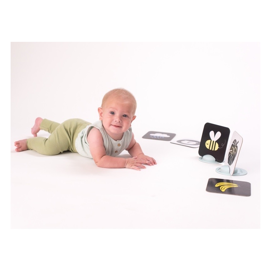 Taf Toys - Βρεφικό παιχνίδι με κάρτες 18 τμχ