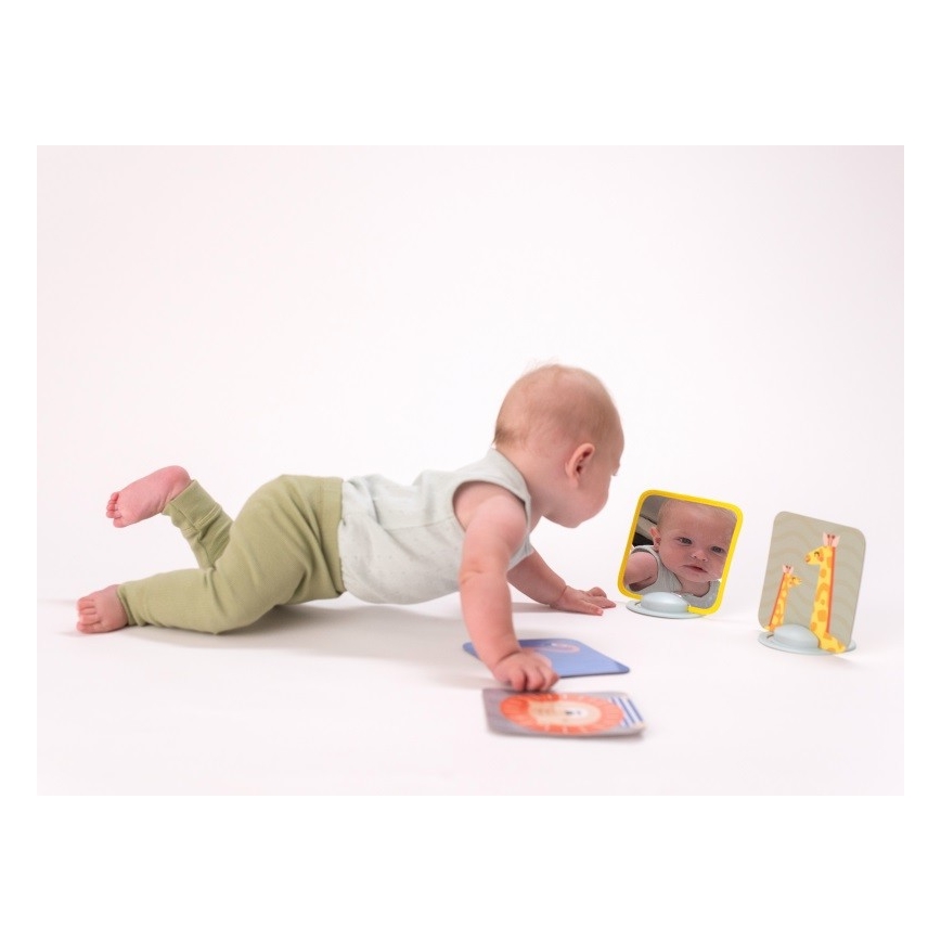 Taf Toys - Βρεφικό παιχνίδι με κάρτες 18 τμχ