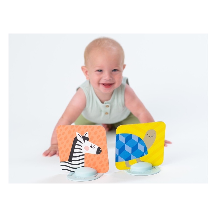 Taf Toys - Βρεφικό παιχνίδι με κάρτες 18 τμχ