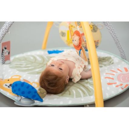Taf Toys -  Γυμναστήριο δραστηριοτήτων Bookstop 2xAAA