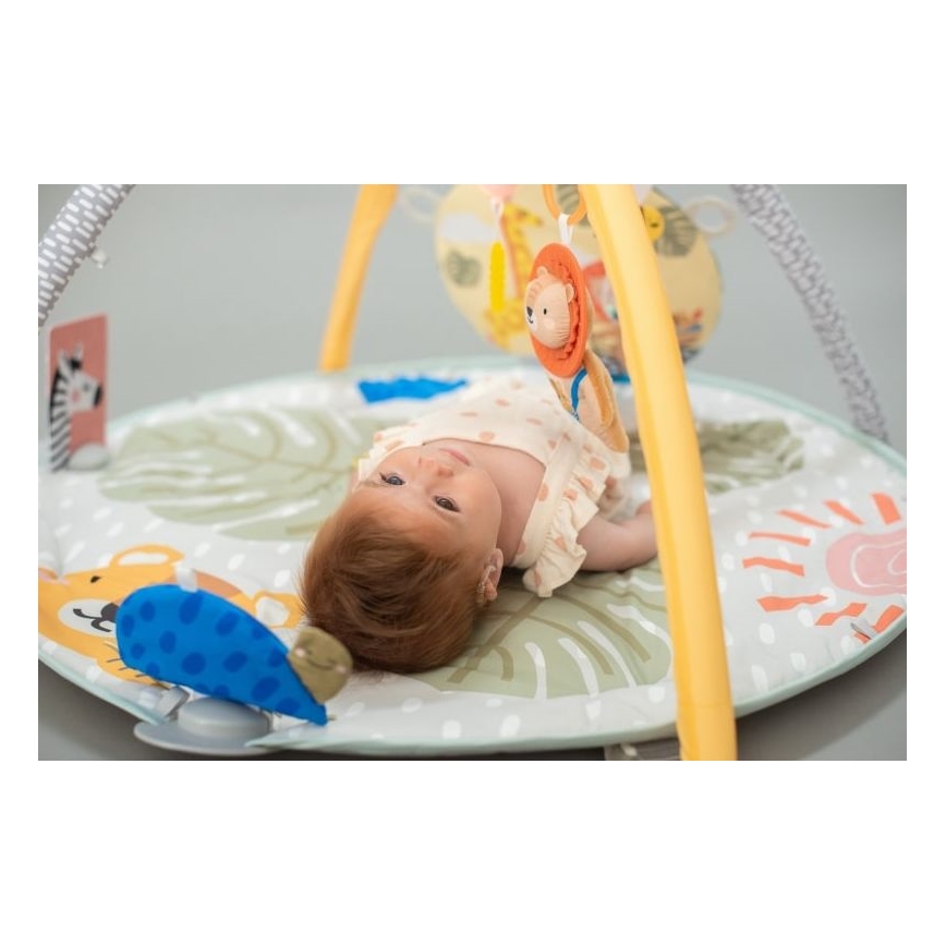 Taf Toys -  Γυμναστήριο δραστηριοτήτων Bookstop 2xAAA