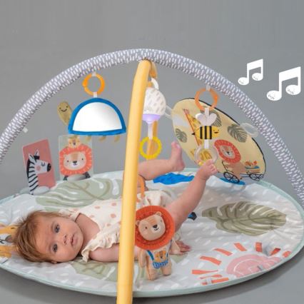 Taf Toys -  Γυμναστήριο δραστηριοτήτων Bookstop 2xAAA