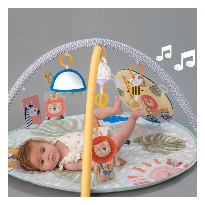 Taf Toys -  Γυμναστήριο δραστηριοτήτων Bookstop 2xAAA