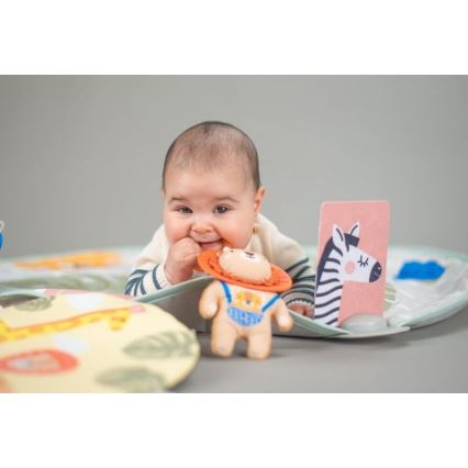 Taf Toys -  Γυμναστήριο δραστηριοτήτων Bookstop 2xAAA