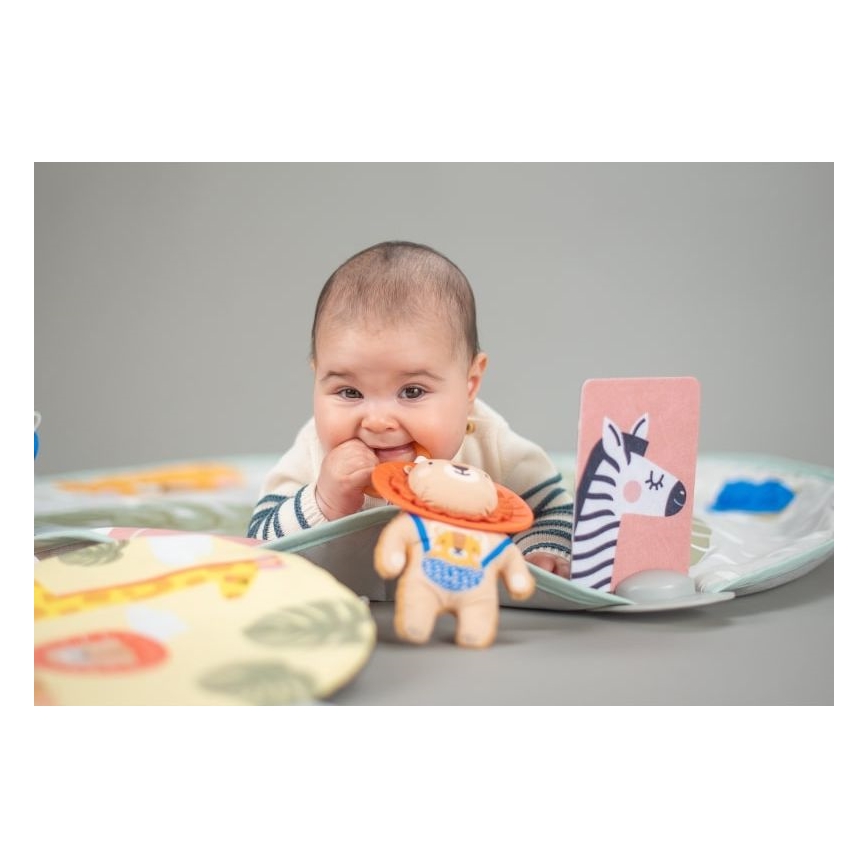 Taf Toys -  Γυμναστήριο δραστηριοτήτων Bookstop 2xAAA