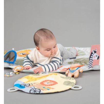 Taf Toys -  Γυμναστήριο δραστηριοτήτων Bookstop 2xAAA
