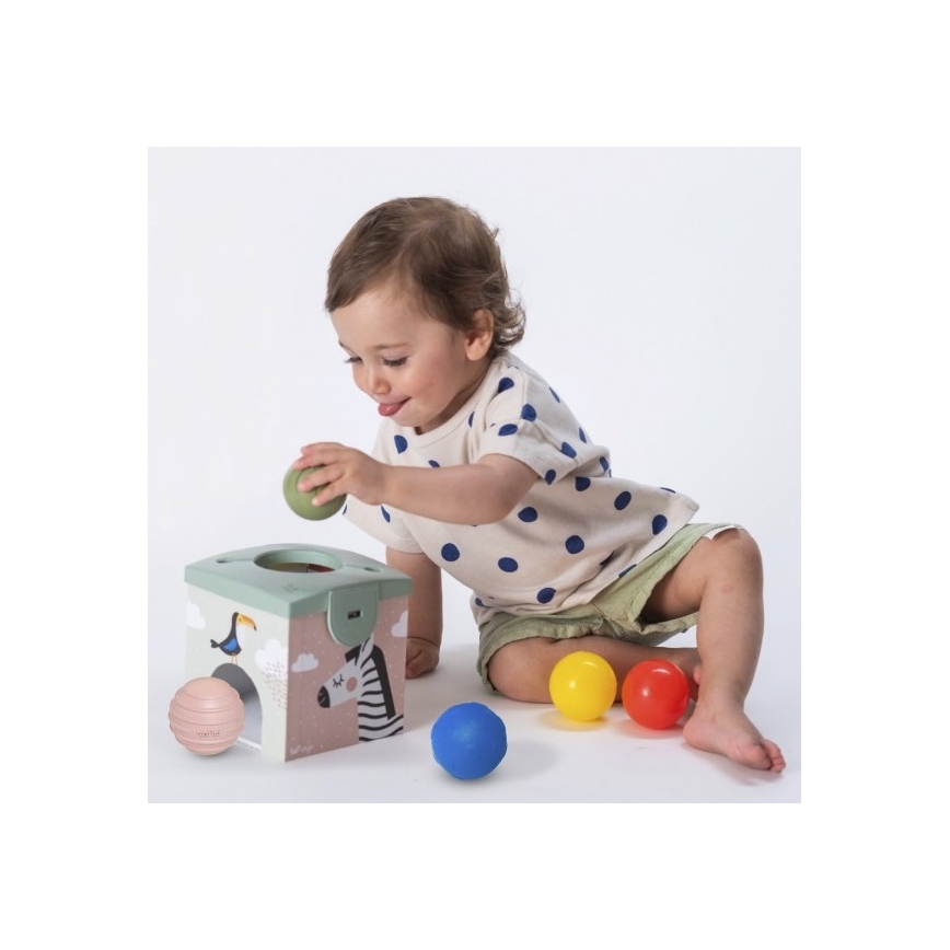 Taf Toys - Εκπαιδευτικό παιχνίδι MAGIC BOX