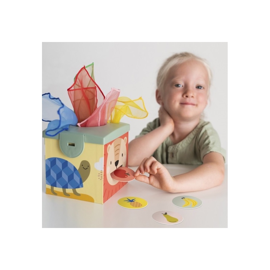 Taf Toys - Εκπαιδευτικό παιχνίδι MAGIC BOX
