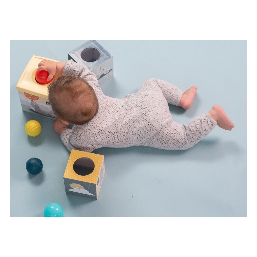 Taf Toys - Εκπαιδευτικό παιχνίδι με κύβους Βόρειος πόλος