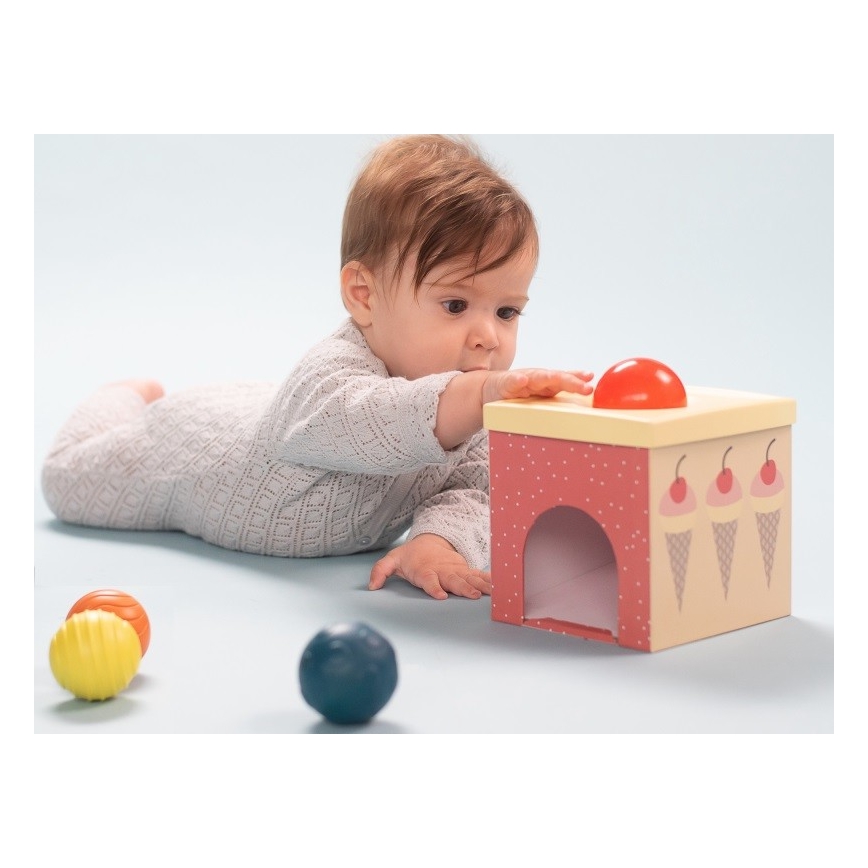 Taf Toys - Εκπαιδευτικό παιχνίδι με κύβους Βόρειος πόλος