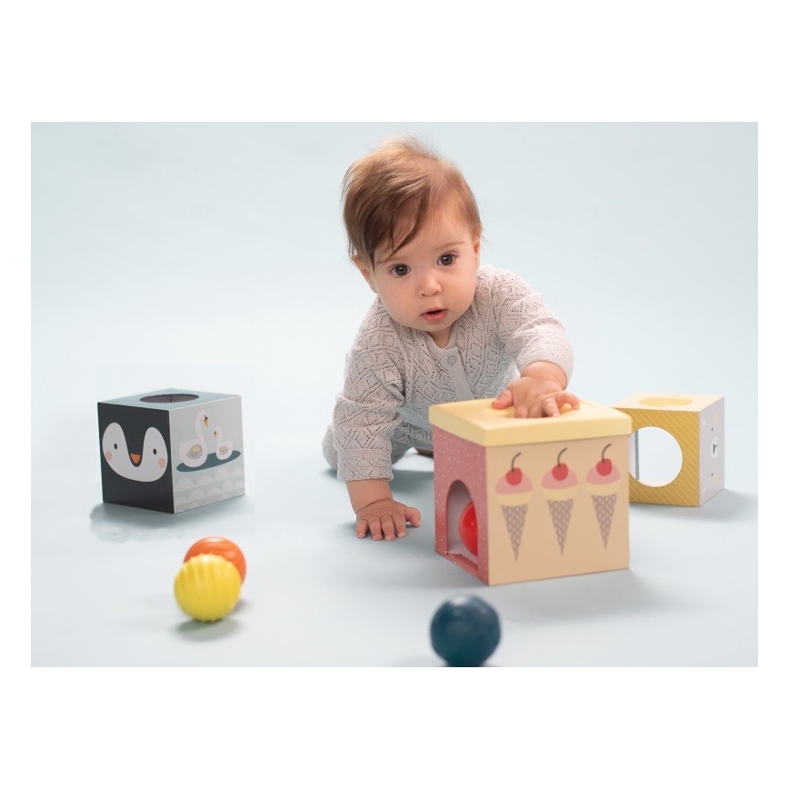 Taf Toys - Εκπαιδευτικό παιχνίδι με κύβους Βόρειος πόλος
