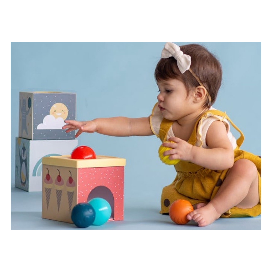 Taf Toys - Εκπαιδευτικό παιχνίδι με κύβους Βόρειος πόλος