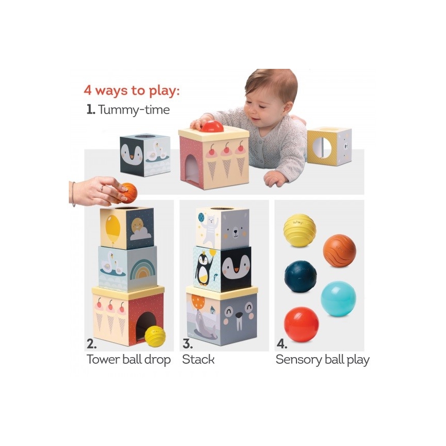 Taf Toys - Εκπαιδευτικό παιχνίδι με κύβους Βόρειος πόλος