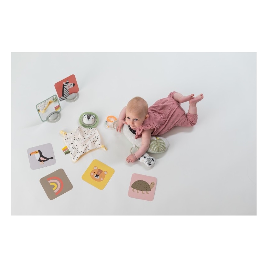 Taf Toys - Σετ παιχνίδι δραστηριοτήτων HELLO BABY