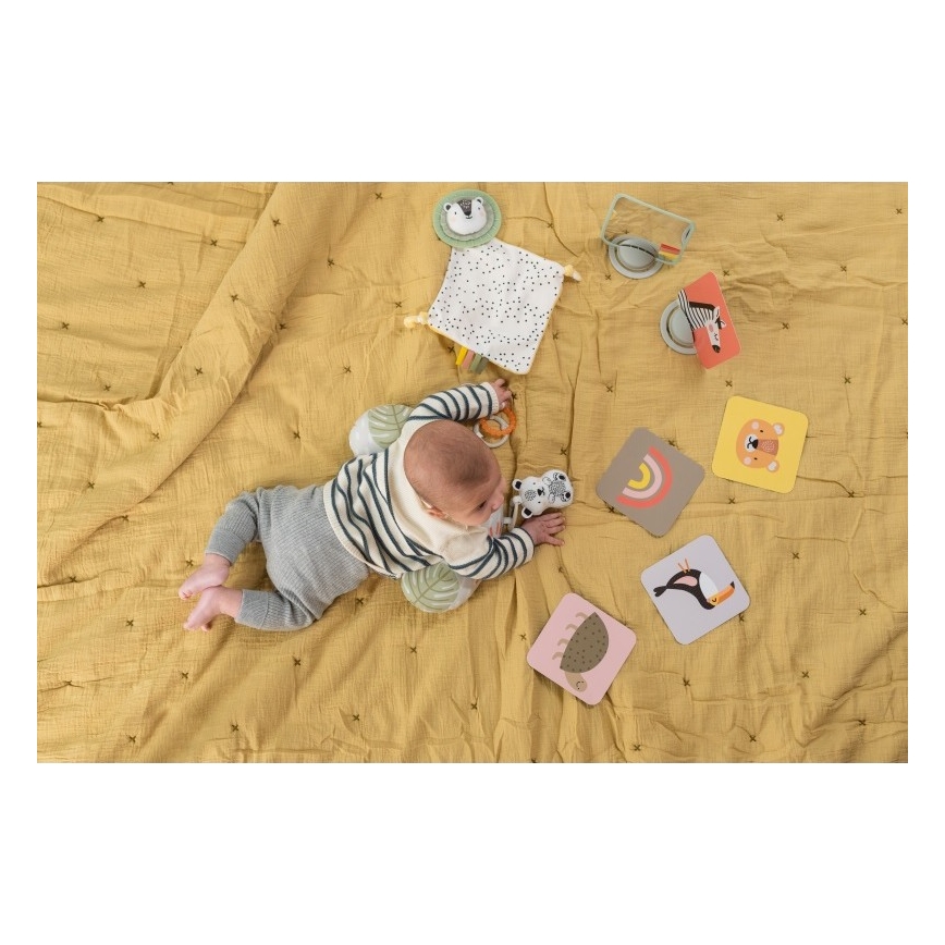 Taf Toys - Σετ παιχνίδι δραστηριοτήτων HELLO BABY