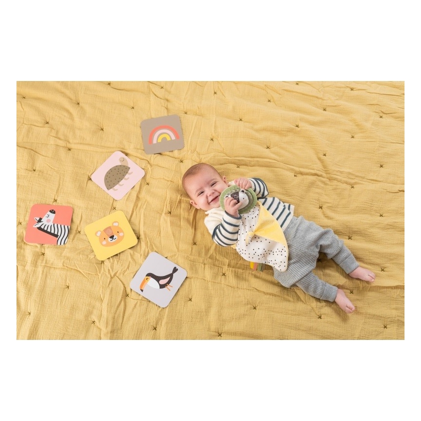 Taf Toys - Σετ παιχνίδι δραστηριοτήτων HELLO BABY