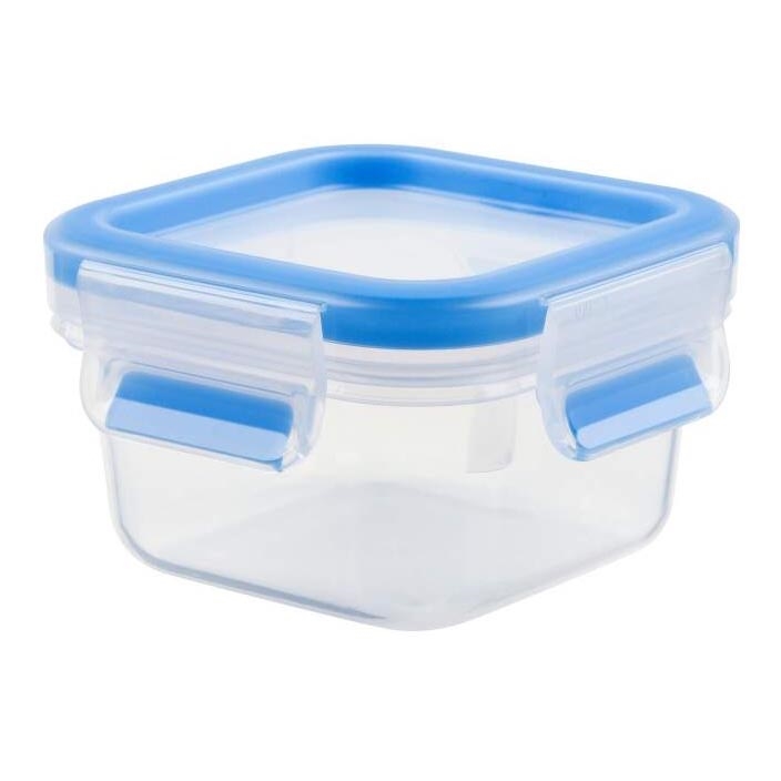 Tefal - Food container 0,25 l MASTER SEAL FRESH μπλε