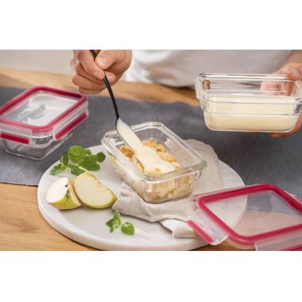 Tefal - Food container 0,45 l MSEAL GLASS κόκκινο/Γυαλί