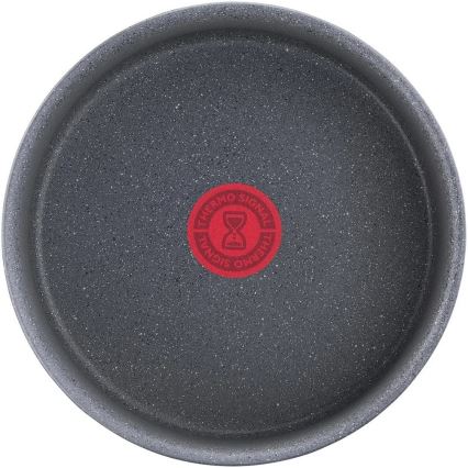 Tefal - Κατσαρολάκι INGENIO NATURAL FORCE 20 cm