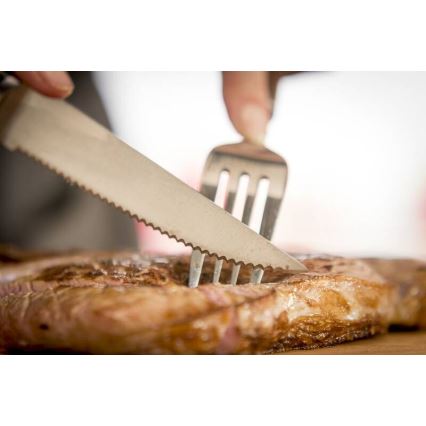 Tefal - Σετ 4 μαχαιριών για μπριζόλα ICE FORCE, 11 cm, από ανοξείδωτο ατσάλι, γυαλιστερό χρώμιο/μαύρο