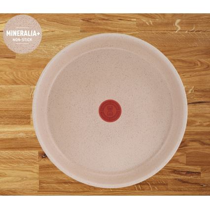 Tefal - Σετ μαγειρικών σκευών 6 τεμ. INGENIO DELIGHT