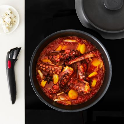 Tefal - Σετ μαγειρικών σκευών 6 τεμ. INGENIO INSPIRATION