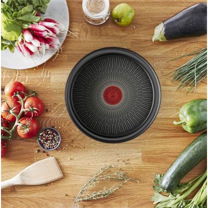 Tefal - Τηγάνι INGENIO Unlimited 24 cm