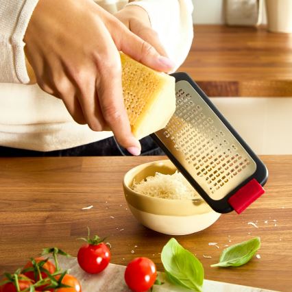 Tefal - Τρίφτης INGENIO