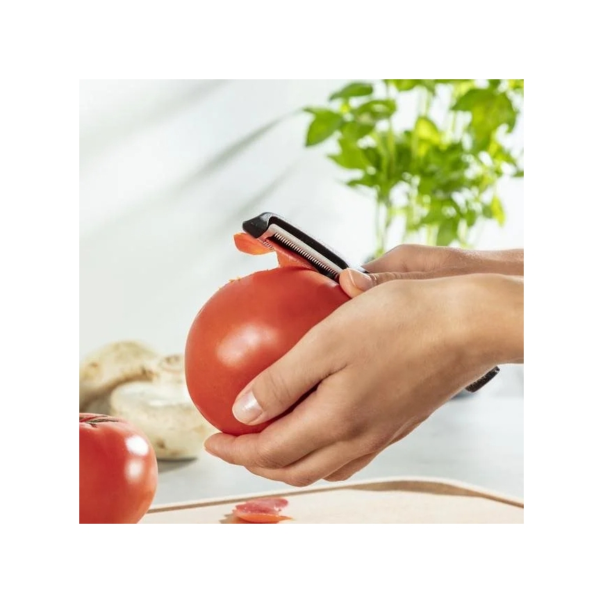 Tefal - Αποφλειωτής COLORFOOD 17 cm μαύρο