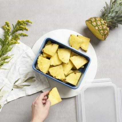 Tefal - Δοχείο αποθήκευσης  2,2 l MSEAL COLOR μπλε