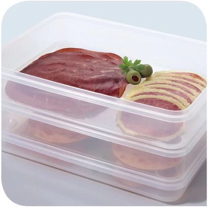 Tefal - Δοχείο αποθήκευσης 2x0,6 l MASTER SEAL FRESH μπλε