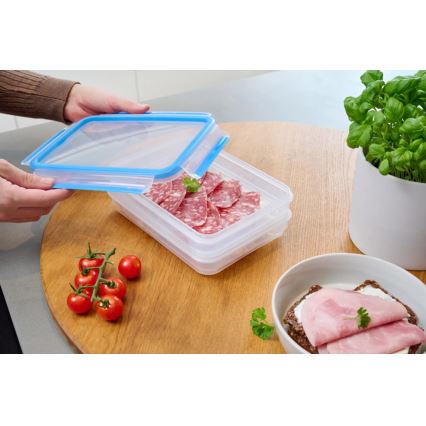 Tefal - Δοχείο αποθήκευσης 2x0,6 l MASTER SEAL FRESH μπλε