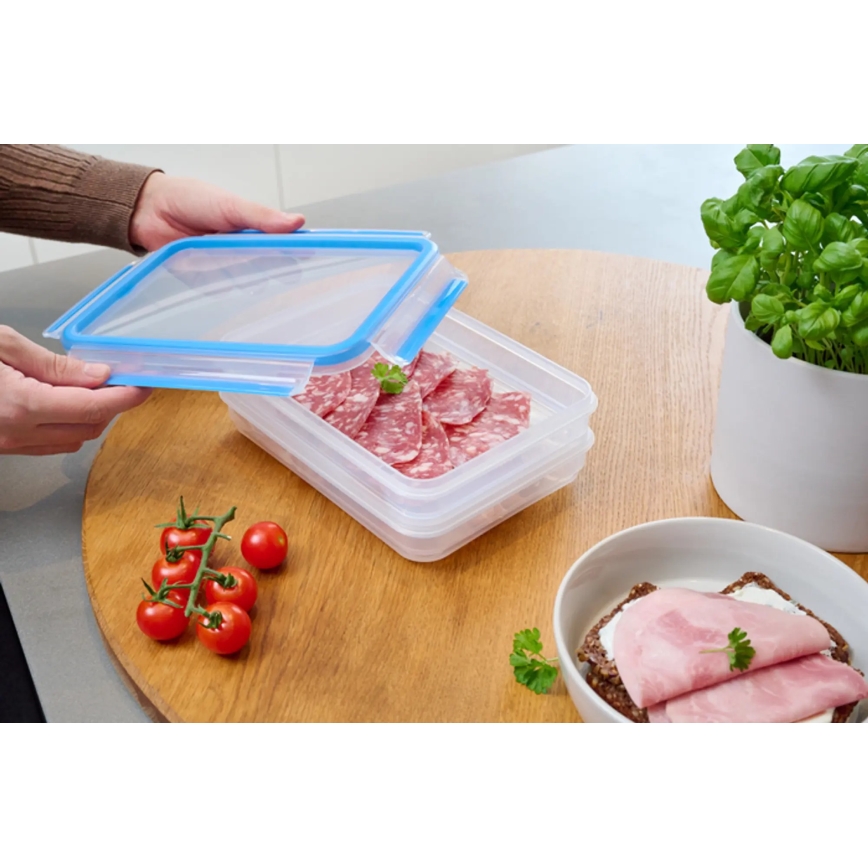 Tefal - Δοχείο αποθήκευσης 2x0,6 l MASTER SEAL FRESH μπλε