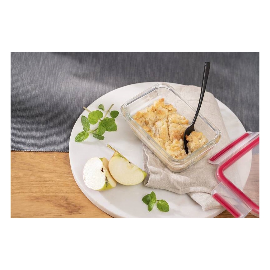 Tefal - Δοχείο τροφίμων 0,45 l MSEAL GLASS κόκκινο/γυαλί