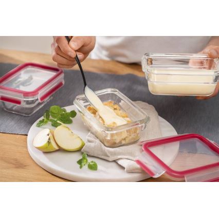 Tefal - Δοχείο τροφίμων 0,45 l MSEAL GLASS κόκκινο/γυαλί