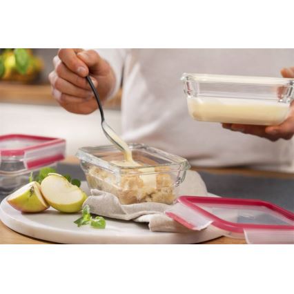Tefal - Δοχείο τροφίμων 0,45 l MSEAL GLASS κόκκινο/γυαλί