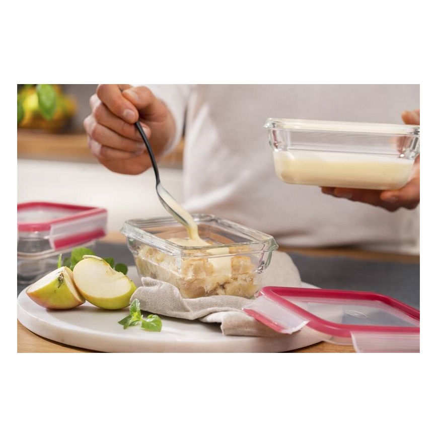 Tefal - Δοχείο τροφίμων 0,45 l MSEAL GLASS κόκκινο/γυαλί