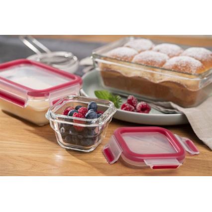 Tefal - Δοχείο τροφίμων 0,45 l MSEAL GLASS κόκκινο/γυαλί