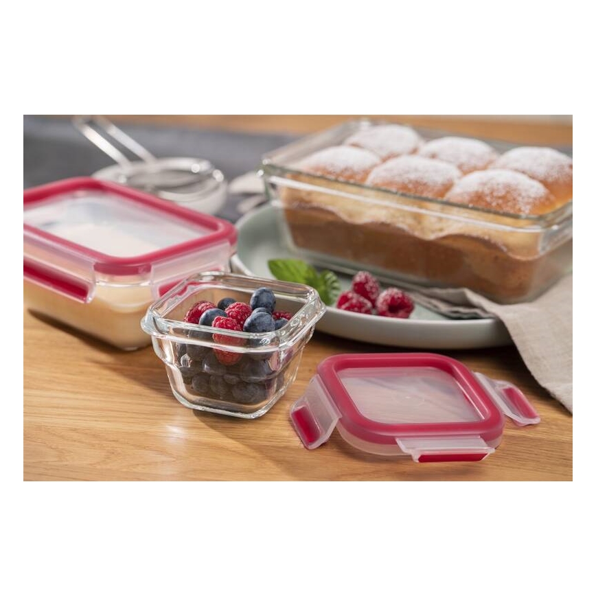 Tefal - Δοχείο τροφίμων 0,45 l MSEAL GLASS κόκκινο/γυαλί